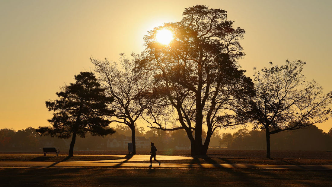 Runner outdoors in early morning sunlight on a quiet path