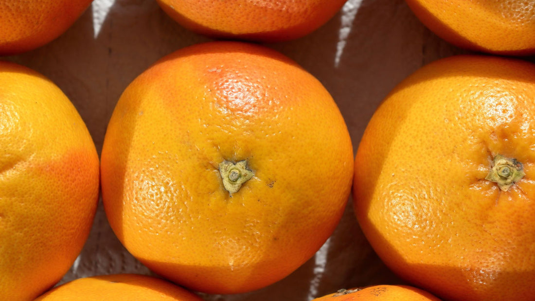Sliced oranges and lemons arranged on a table in bright daylight