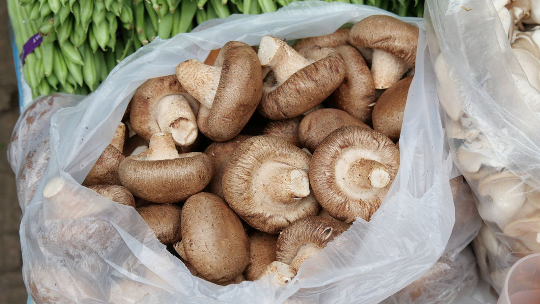 Fresh shiitake mushrooms with brown caps arranged on a wooden board